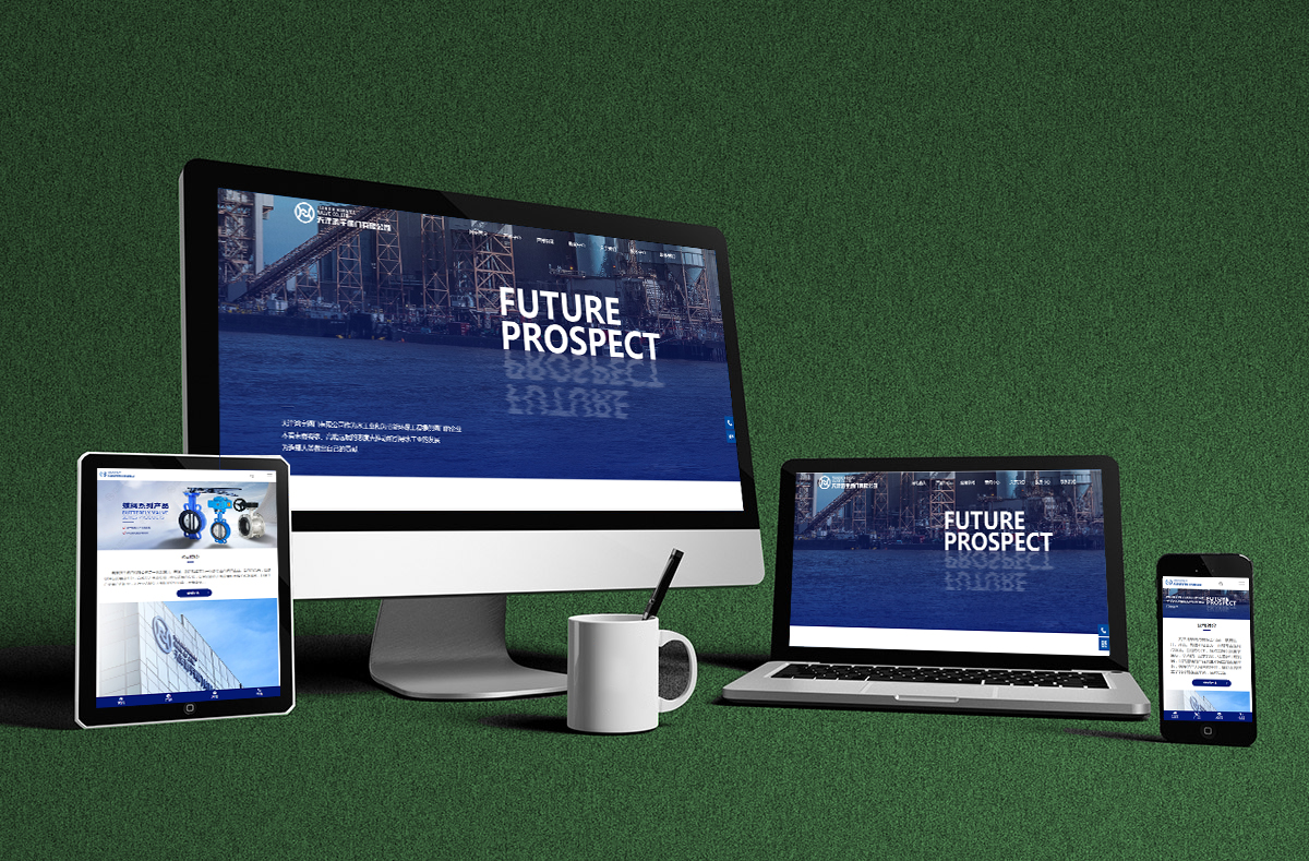 熱烈慶賀(he)南京博高閥門(mén)有限公司網站(zhàn)正式開通